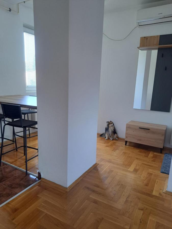 Apartman Zvezdica -Smederevo, Netflix Eksteriør bilde